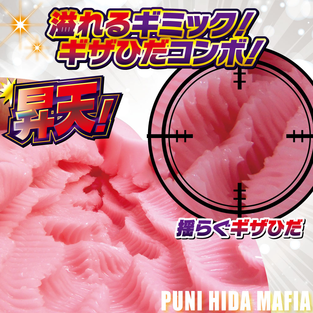 Puni Hida Mafia