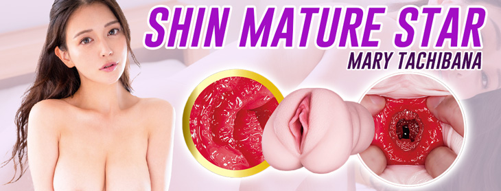 730x278-ShinMatureStarMaryTachibana